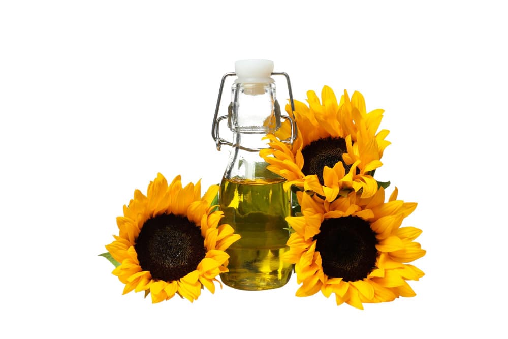 sunflower oil