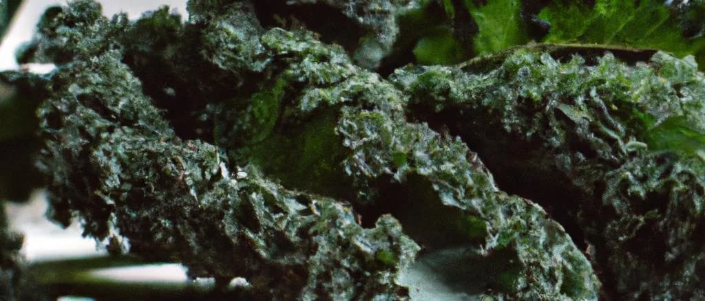 Curly Kale varieties on a rustic wooden background