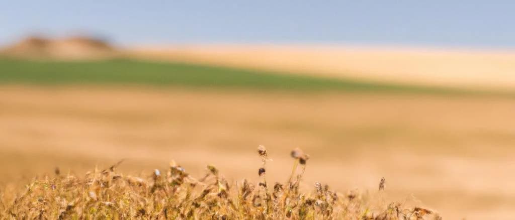 various packages of gold flax seeds with plain and rustic backgrounds