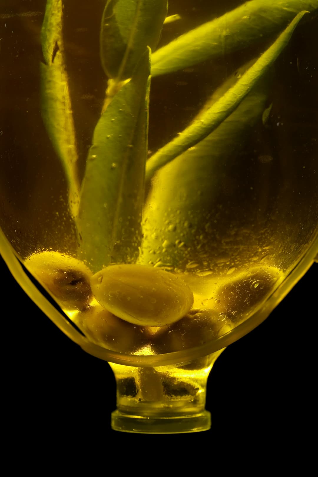 Olive oil with infusion