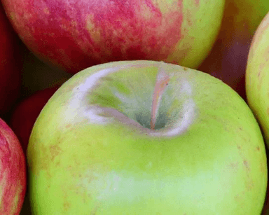 Acidic Apples category