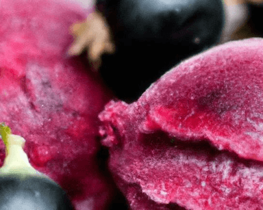 Blackcurrent Sorbets category
