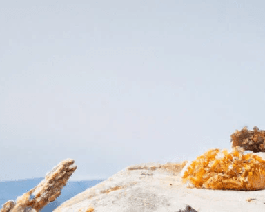 Crunchy Cereal Clusters category