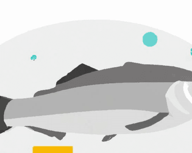 Fish Analogues category