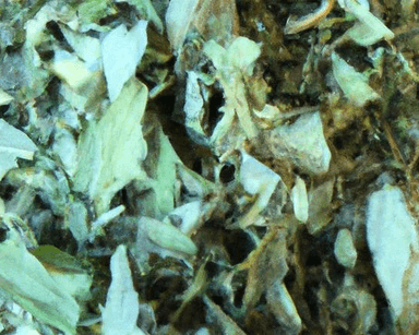 Ground Dried Stevia category