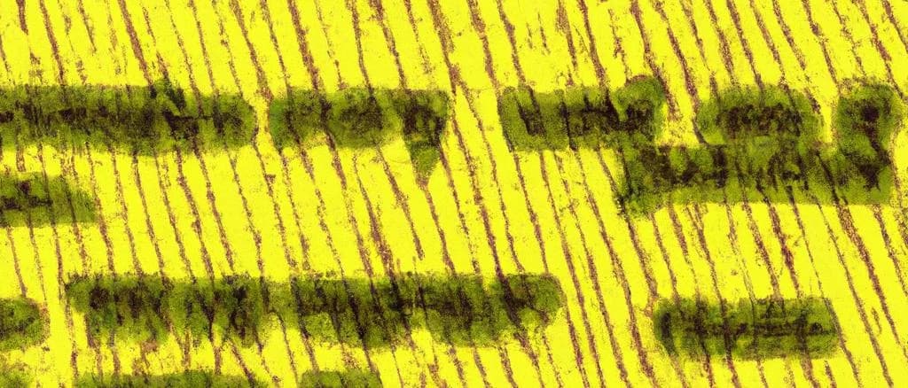 variety of 30-40% fat lightly salted vegetable fat with different packaging