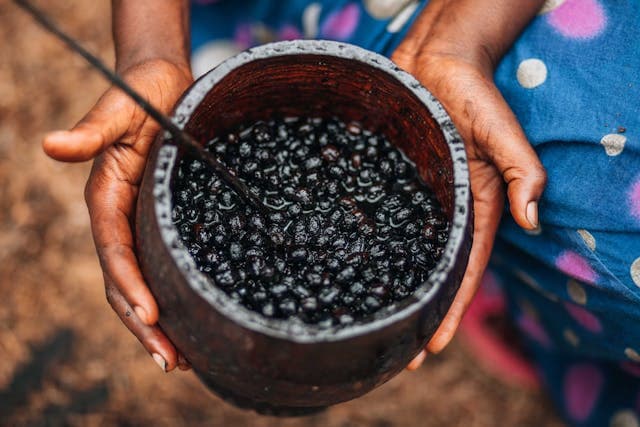 Açaí Market: Why Functional Foods Are Pushing Açaí Forward