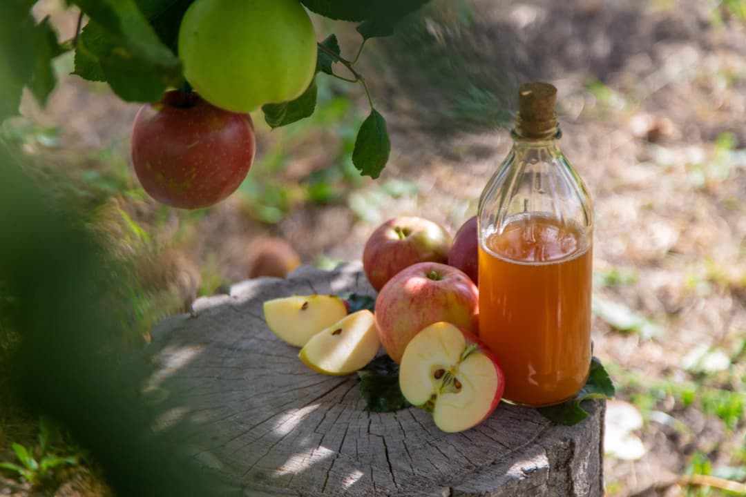 Apple Cider Vinegar Market Expands with New Formats