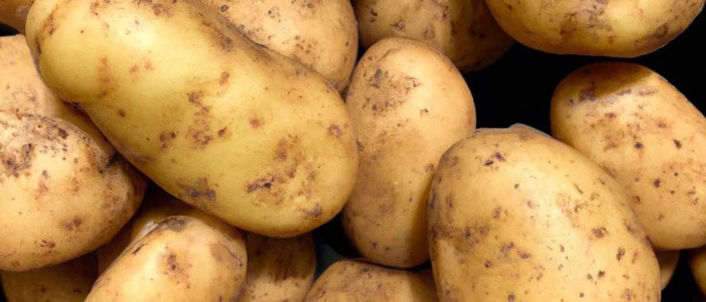 Fresh Charlotte potatoes with different packaging variations on a plain background.