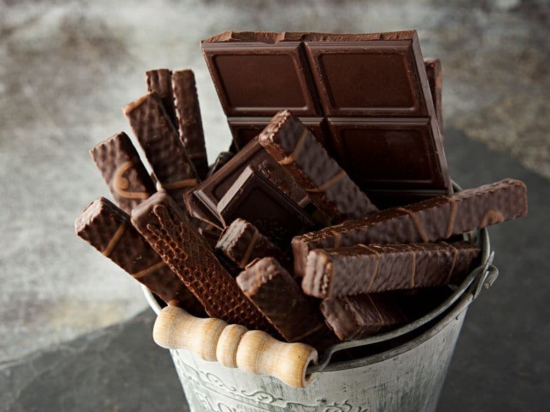 Mercado de Chocolate Oscuro: Tendencias, Sabor y Comercio Global