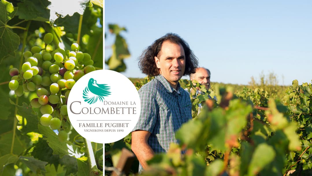 Domaine La Colombette : Vin Sans Limites