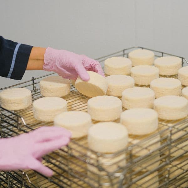 Person in Pink Latex Gloves Checking a Molded Product on a Stainless Steel Rack