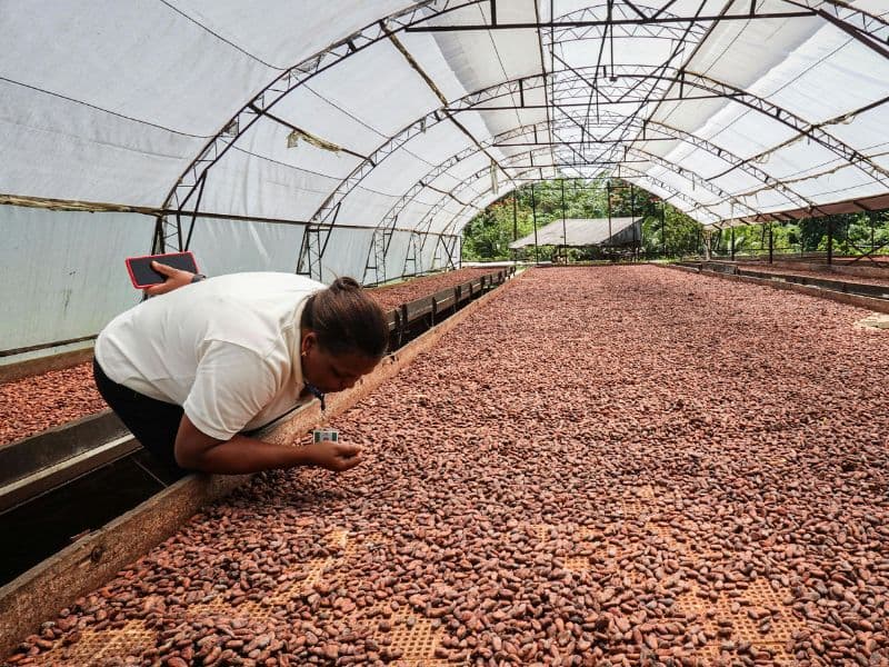 Obtención de Materias Primas: Proceso, Estrategias, Desafíos