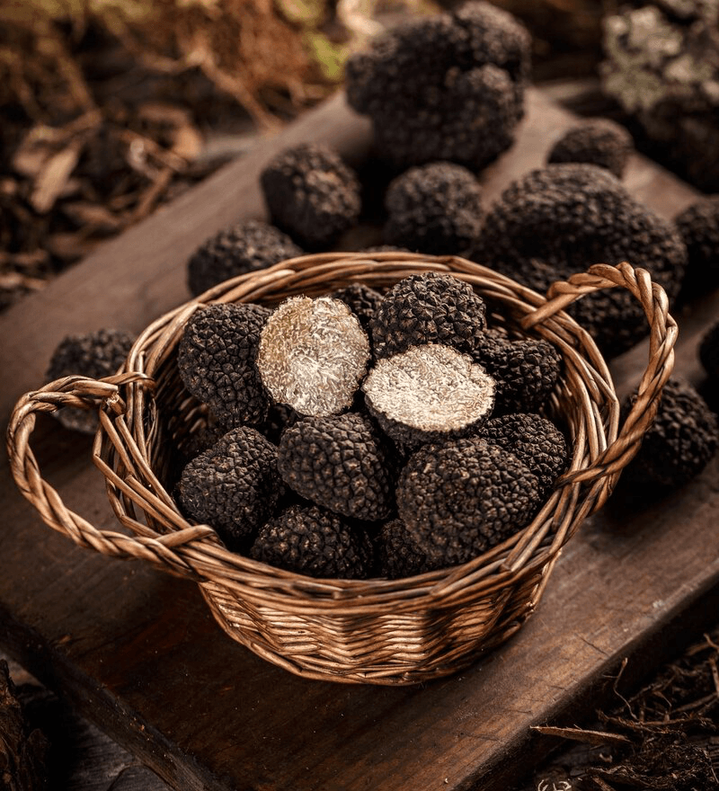 black truffles in a wicker basket