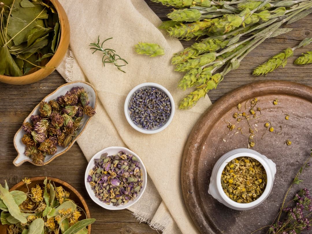 medicinal herbs and spices