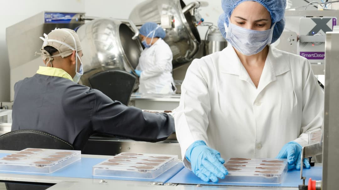 10 Certificaciones Alimentarias Imprescindibles para Marcas y Minoristas