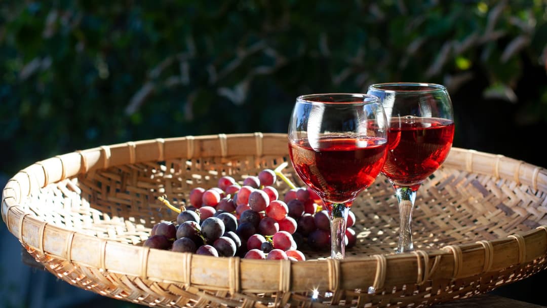 Cómo iniciar un negocio de vinos | Guía para principiantes