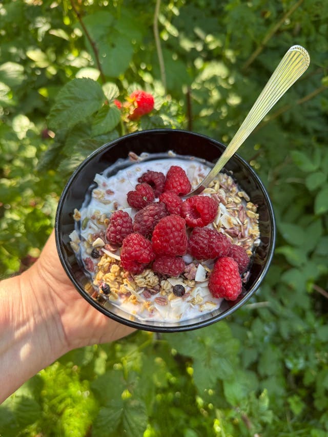 pexels-hellen-p-toivola-266254040-34432675