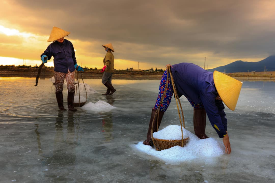 people harvesting salt