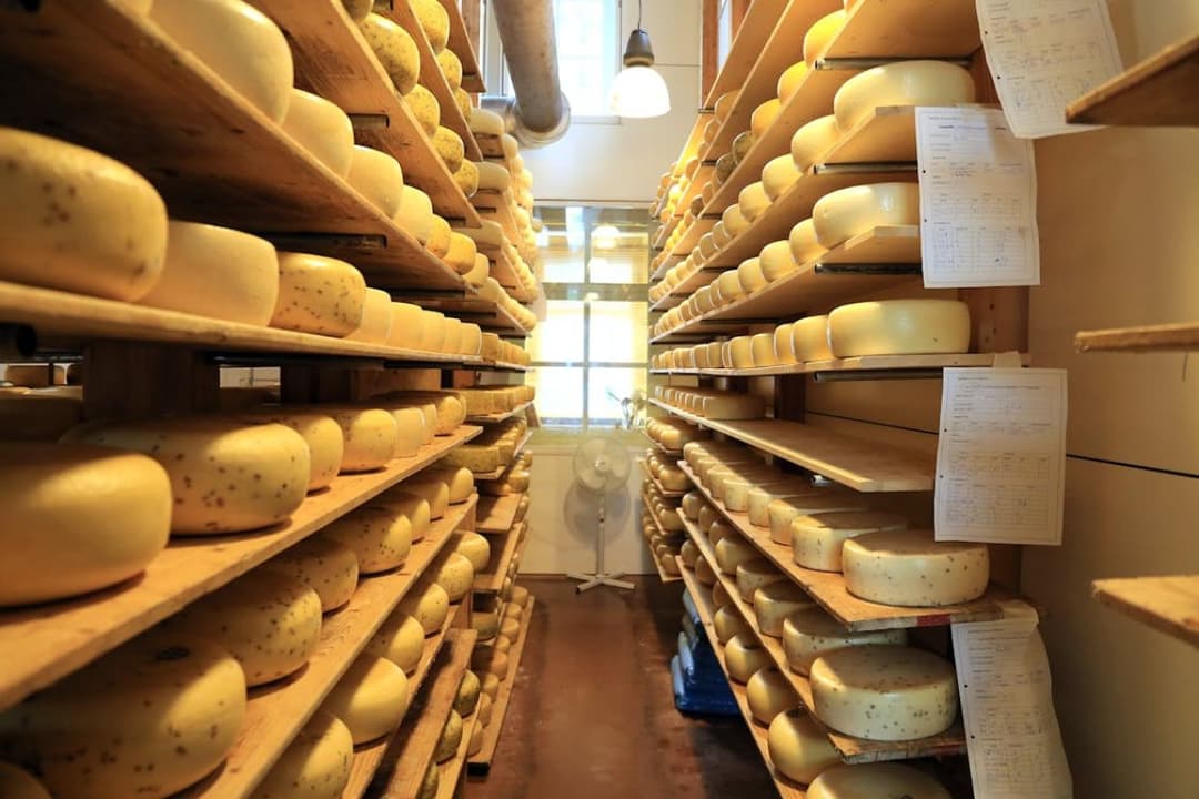 Suministro único: beneficios, desafíos y mejores prácticas