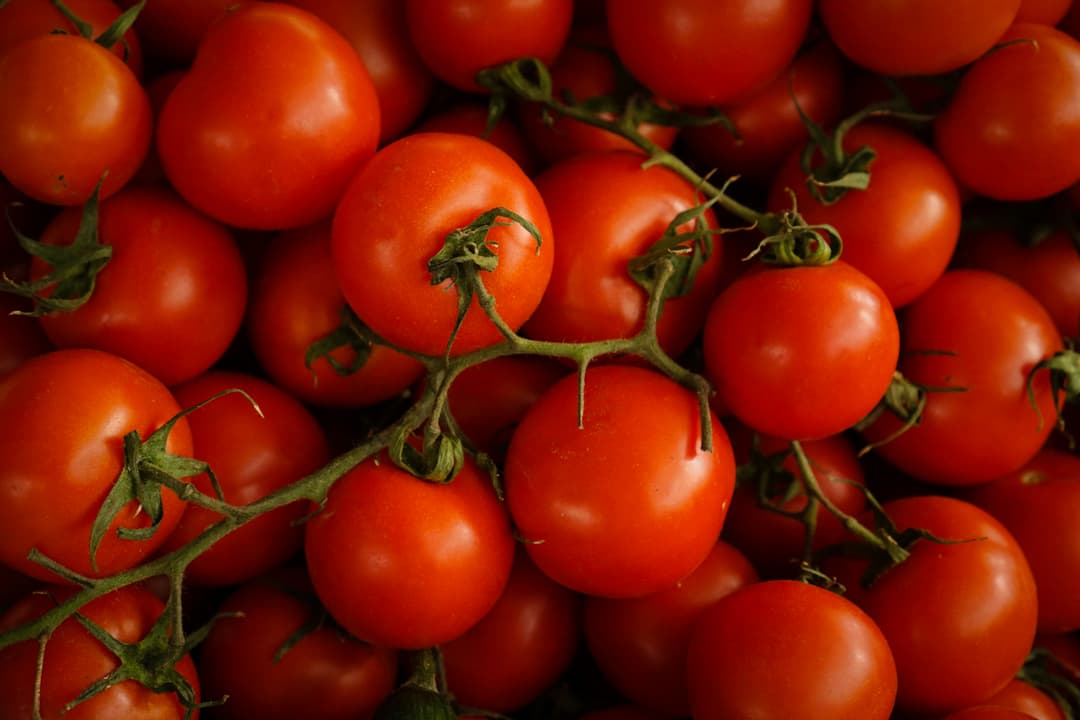 Una guía para principiantes para conseguir tomates enlatados