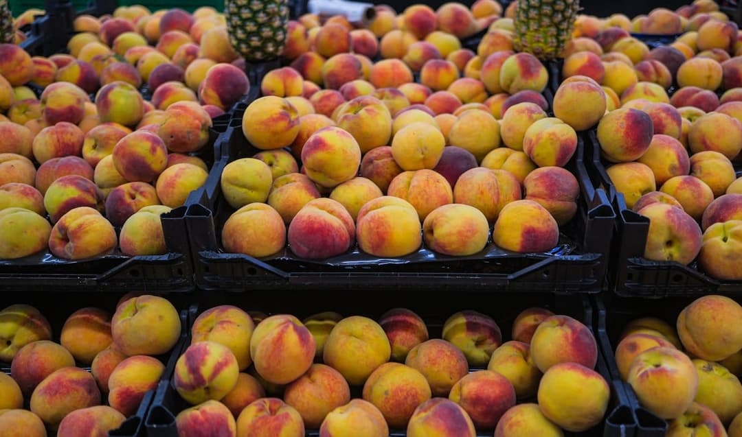 How to Get a Wholesale License: A Beginners' Guide